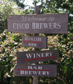 cisco brewers