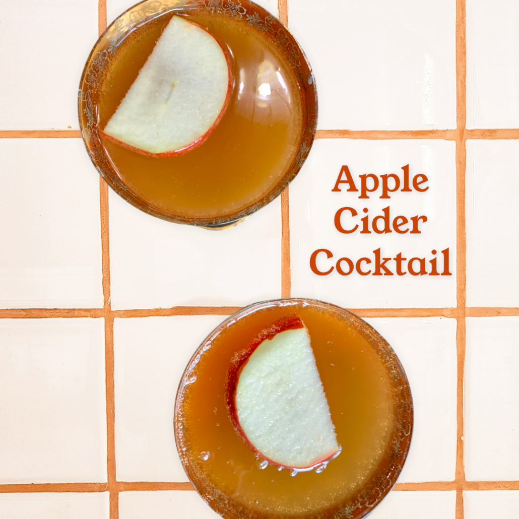 Apple Cider Rum Cocktail Mystic Wine Shoppe